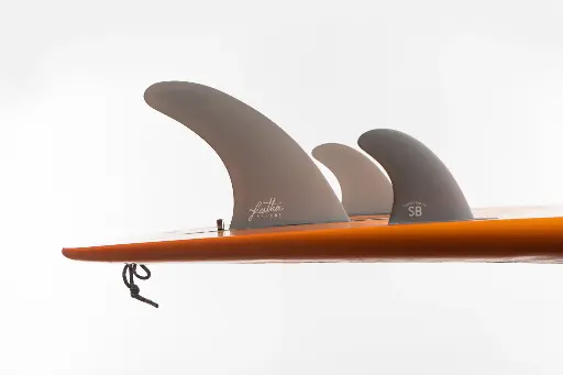 3 FINS SINGLE US + 2 octets latéraux gris.